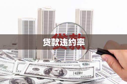 昌宁贷款违约率