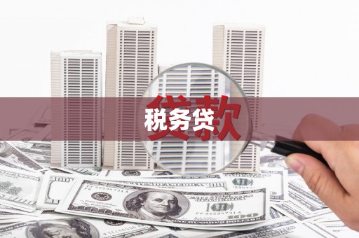昌宁税务贷