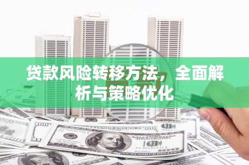 昌宁贷款风险转移方法，全面解析与策略优化