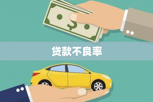 昌宁贷款不良率
