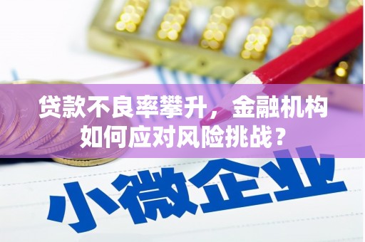 昌宁贷款不良率攀升，金融机构如何应对风险挑战？