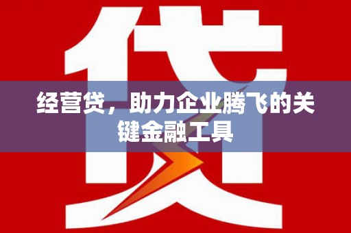 昌宁经营贷，助力企业腾飞的关键金融工具