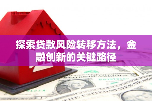 昌宁探索贷款风险转移方法，金融创新的关键路径