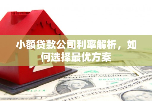 昌宁小额贷款公司利率解析，如何选择最优方案