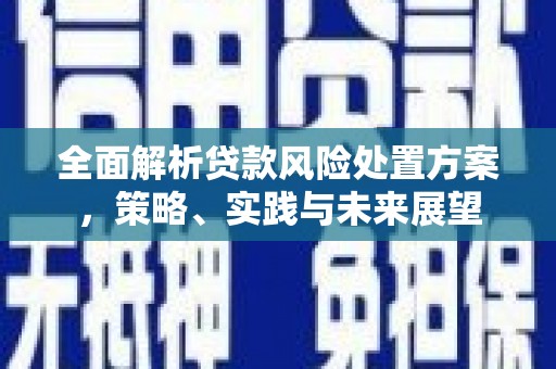 昌宁全面解析贷款风险处置方案，策略、实践与未来展望