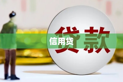 昌宁信用贷
