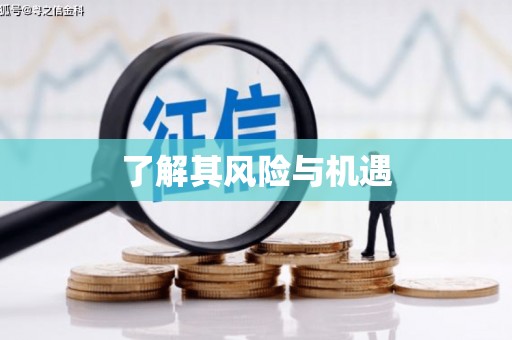 昌宁了解其风险与机遇