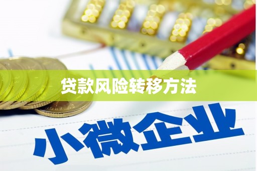 昌宁贷款风险转移方法