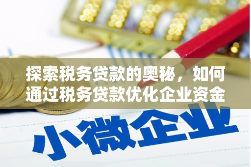 昌宁探索税务贷款的奥秘，如何通过税务贷款优化企业资金流