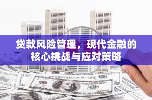 昌宁贷款风险管理，现代金融的核心挑战与应对策略