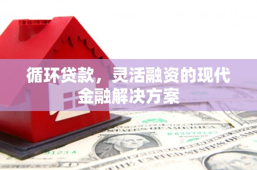 昌宁循环贷款，灵活融资的现代金融解决方案