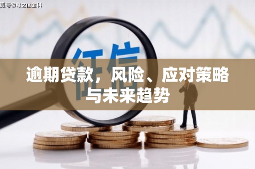 昌宁逾期贷款，风险、应对策略与未来趋势