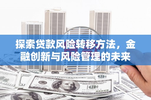 昌宁探索贷款风险转移方法，金融创新与风险管理的未来
