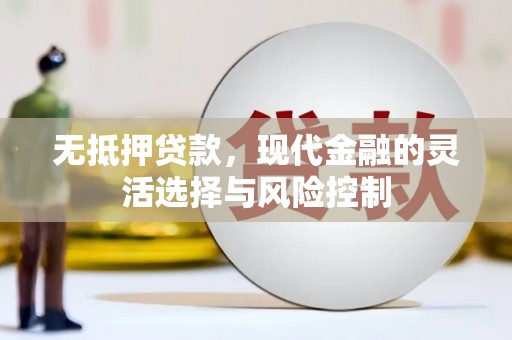 昌宁无抵押贷款，现代金融的灵活选择与风险控制