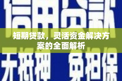 昌宁短期贷款，灵活资金解决方案的全面解析