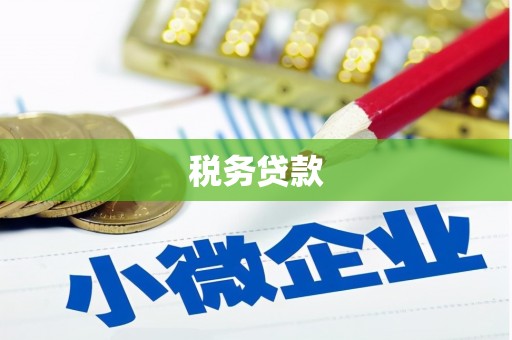 昌宁税务贷款