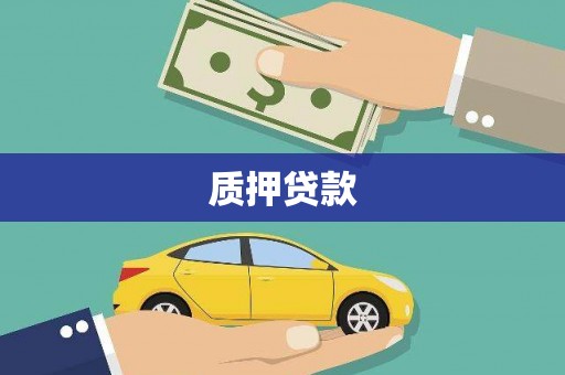 昌宁质押贷款