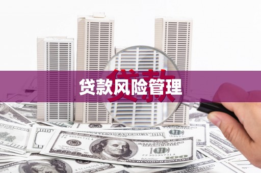 昌宁贷款风险管理