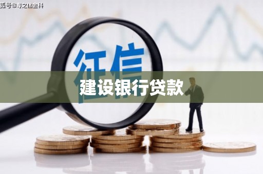 昌宁建设银行贷款