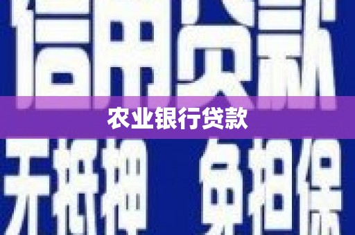 昌宁农业银行贷款