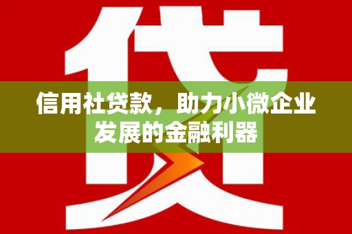 昌宁信用社贷款，助力小微企业发展的金融利器