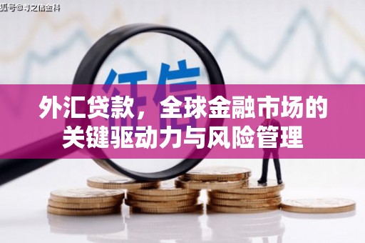 昌宁外汇贷款，全球金融市场的关键驱动力与风险管理