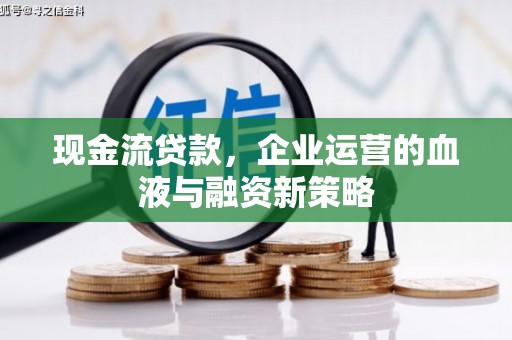 昌宁现金流贷款，企业运营的血液与融资新策略