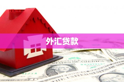 昌宁外汇贷款