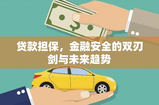 昌宁贷款担保，金融安全的双刃剑与未来趋势