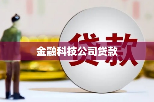 昌宁金融科技公司贷款