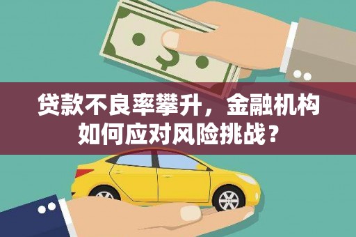 昌宁贷款不良率攀升，金融机构如何应对风险挑战？