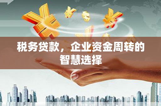 昌宁税务贷款，企业资金周转的智慧选择