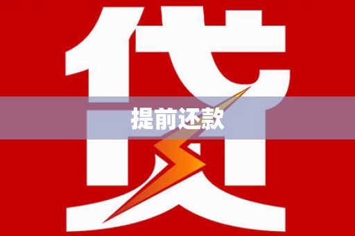 昌宁提前还款
