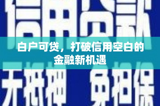 昌宁白户可贷，打破信用空白的金融新机遇