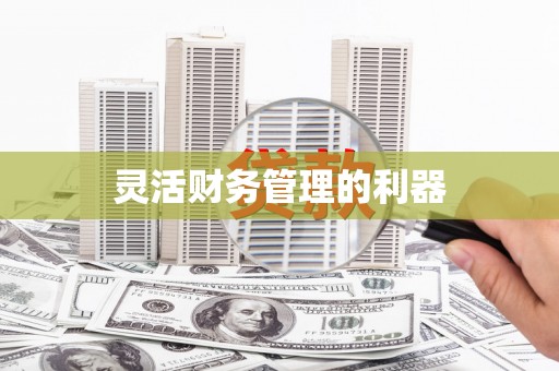 昌宁灵活财务管理的利器