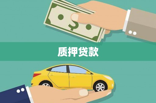 昌宁质押贷款