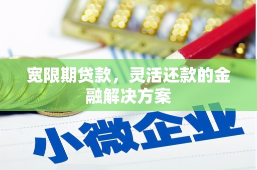 昌宁宽限期贷款，灵活还款的金融解决方案