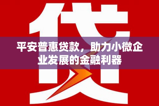 昌宁平安普惠贷款，助力小微企业发展的金融利器