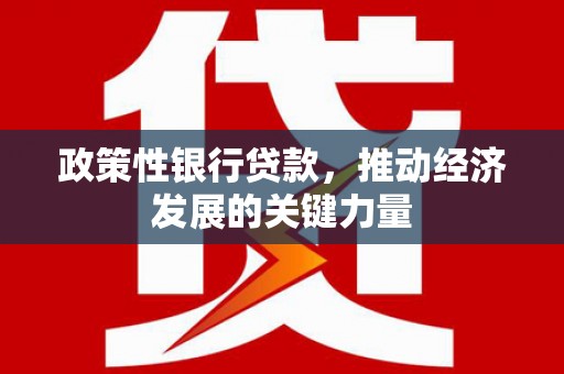 昌宁政策性银行贷款，推动经济发展的关键力量