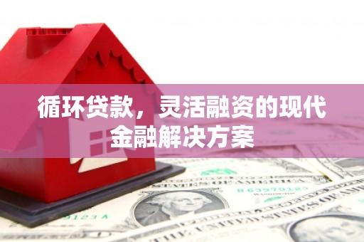 昌宁循环贷款，灵活融资的现代金融解决方案