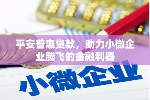 昌宁平安普惠贷款，助力小微企业腾飞的金融利器