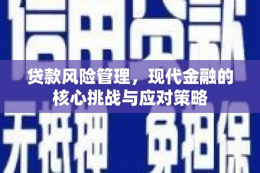 昌宁贷款风险管理，现代金融的核心挑战与应对策略