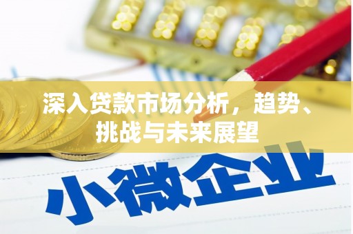 昌宁深入贷款市场分析，趋势、挑战与未来展望