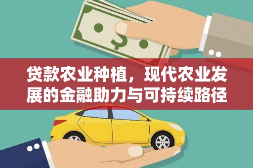 昌宁贷款农业种植，现代农业发展的金融助力与可持续路径