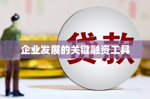 昌宁企业发展的关键融资工具
