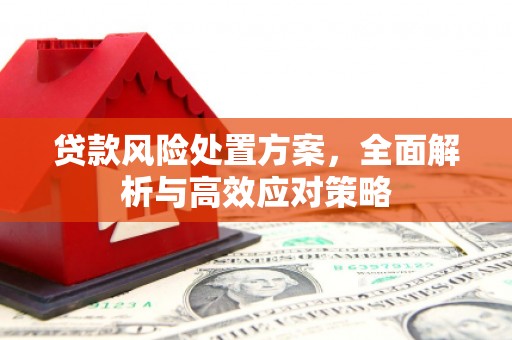 昌宁贷款风险处置方案，全面解析与高效应对策略