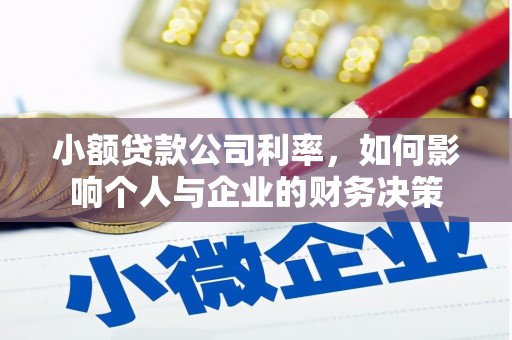 昌宁小额贷款公司利率，如何影响个人与企业的财务决策