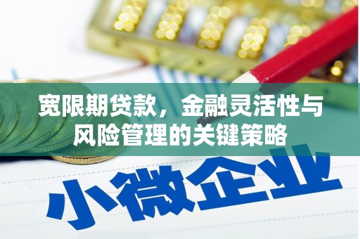 昌宁宽限期贷款，金融灵活性与风险管理的关键策略