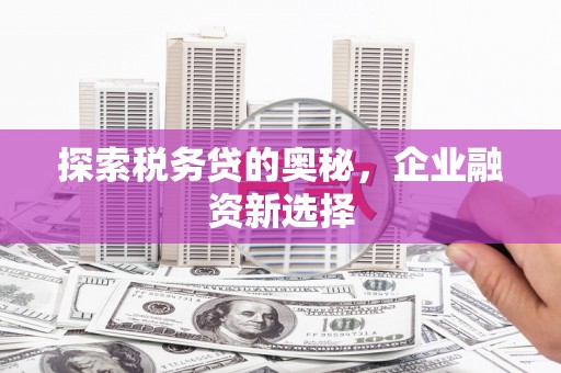 昌宁探索税务贷的奥秘，企业融资新选择