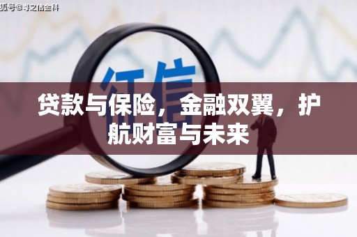 昌宁贷款与保险，金融双翼，护航财富与未来